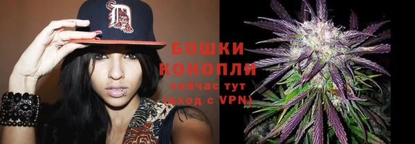 mdpv Бежецк