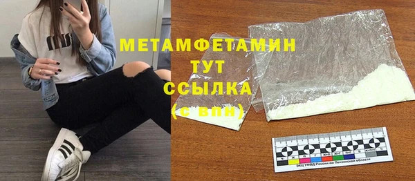 индика Тихвин