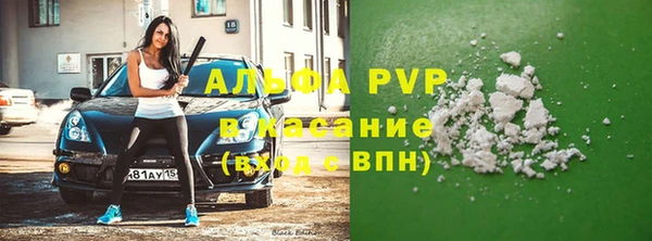 СК Тында